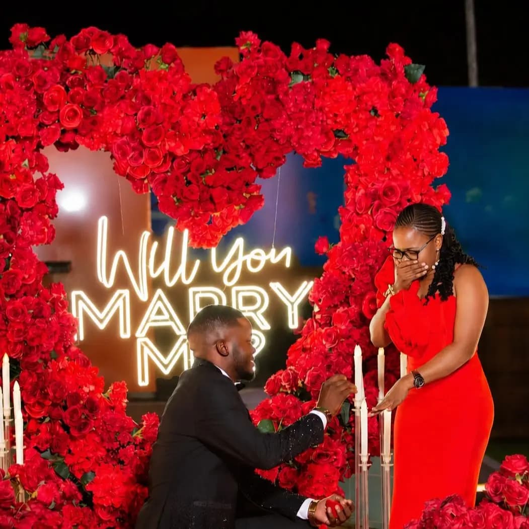 Romantic Couple Proposal