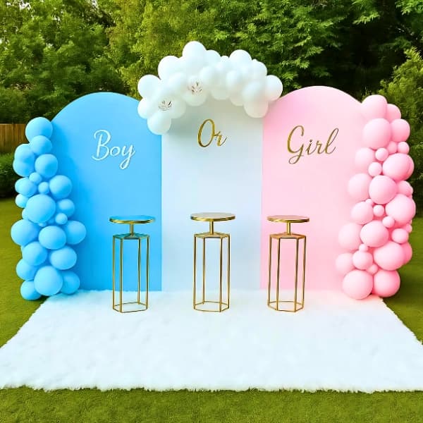 Little Star Gender Reveal Backdrop