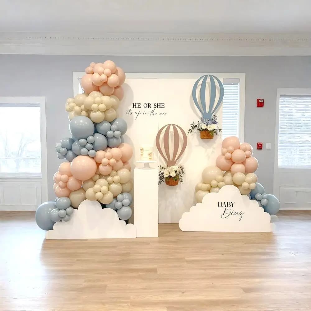 He Or She Gender Reveal Party Theme